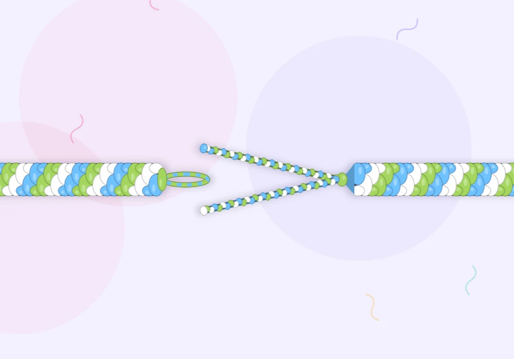 The end of a bracelet in sky blue, lime and white with a loop on one side and two braids on the other